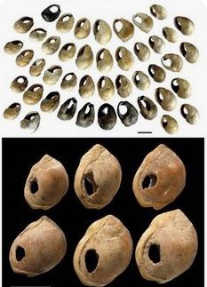 One of the oldest jewelry found in Morocco estimated to be 82,000 years old. Those are small shells with holes for necklace.