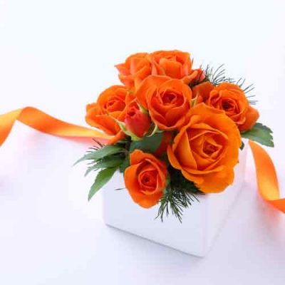ary dpo blog orange flowers in the white box