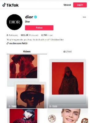 TikTok Dior